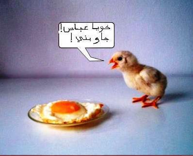 meskine b9a wahid.lol??????????????