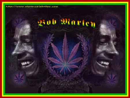 belle tof de bob marley