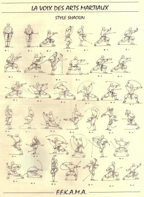 style shaolin