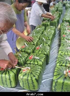 ach hadchi dela3 mraba3 walehma9 hada