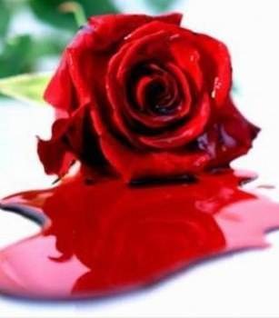 Je me battrai pour toi,Je n'attendrai que toi...J'attendrais le temps qu'il faudra Pour me retrouver dans tes bras...Car toi seul fait battre mon coeur Et cela toutes les heures...