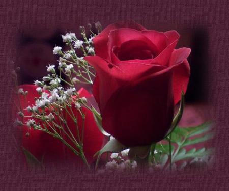 c pour toi mon amour